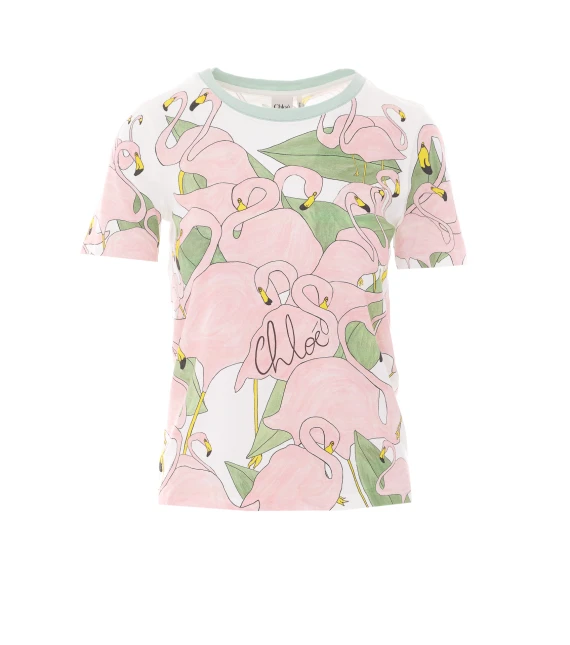 T-shirt e Polo Multicolour