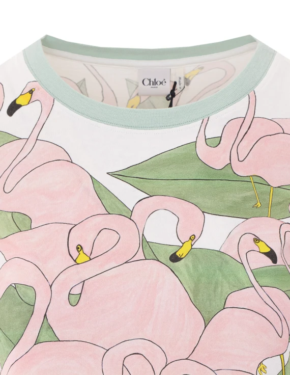 T-shirt e Polo Multicolour