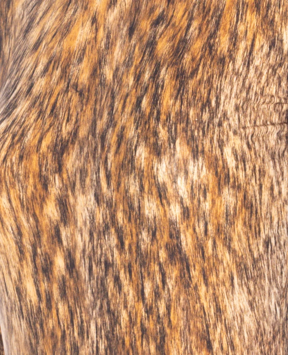 MM6 Maison Margiela Top Marrone