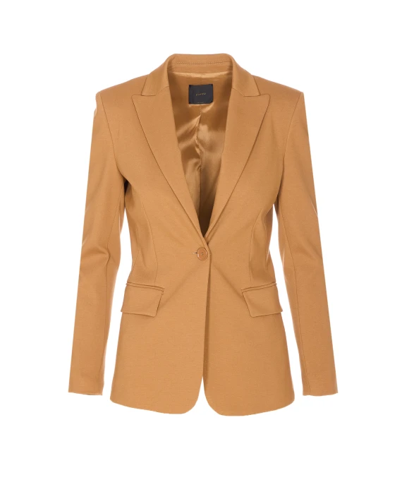 Pinko Giacche Marrone