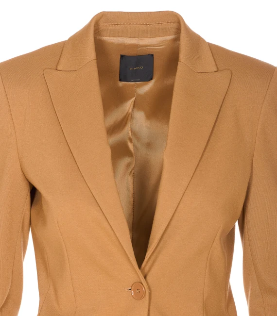 Pinko Giacche Marrone