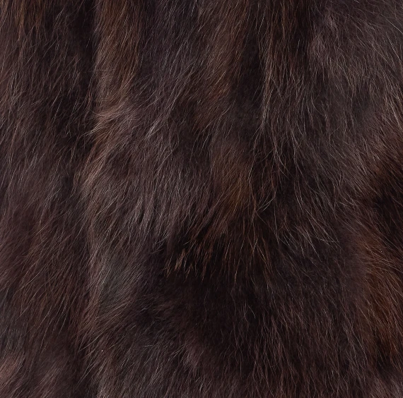 Bully Giacche Marrone