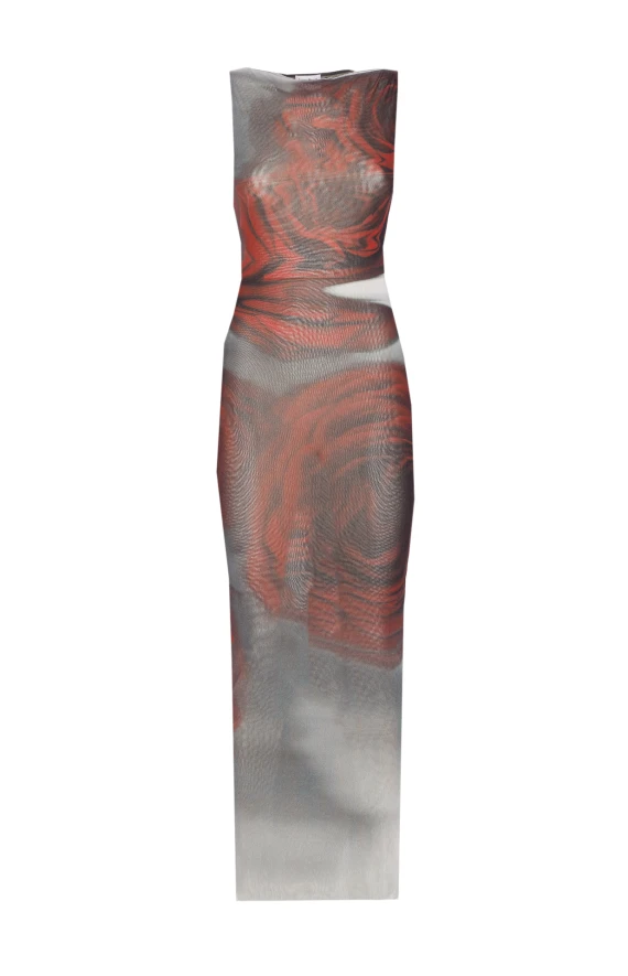 BLURRY ROSES PRINT DRESS