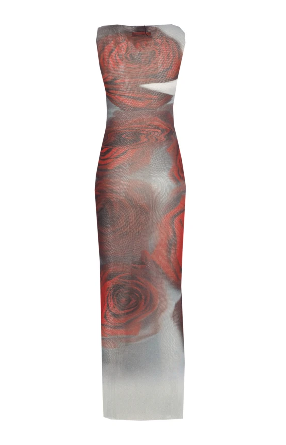 BLURRY ROSES PRINT DRESS