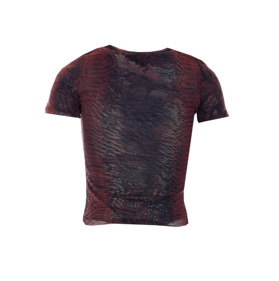 T-shirts and Polos Brown