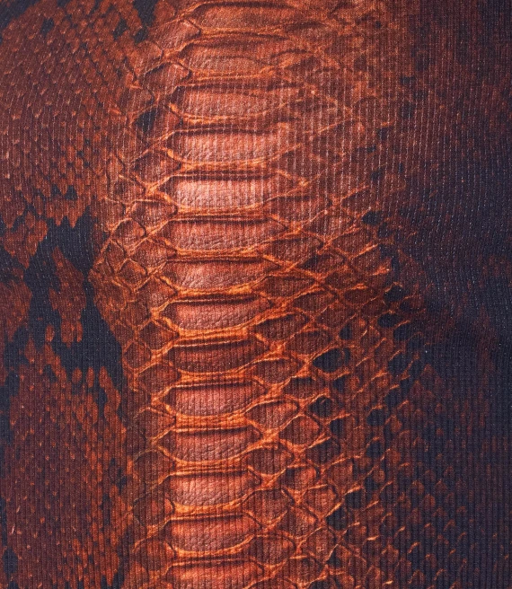 T-shirt e Polo Marrone